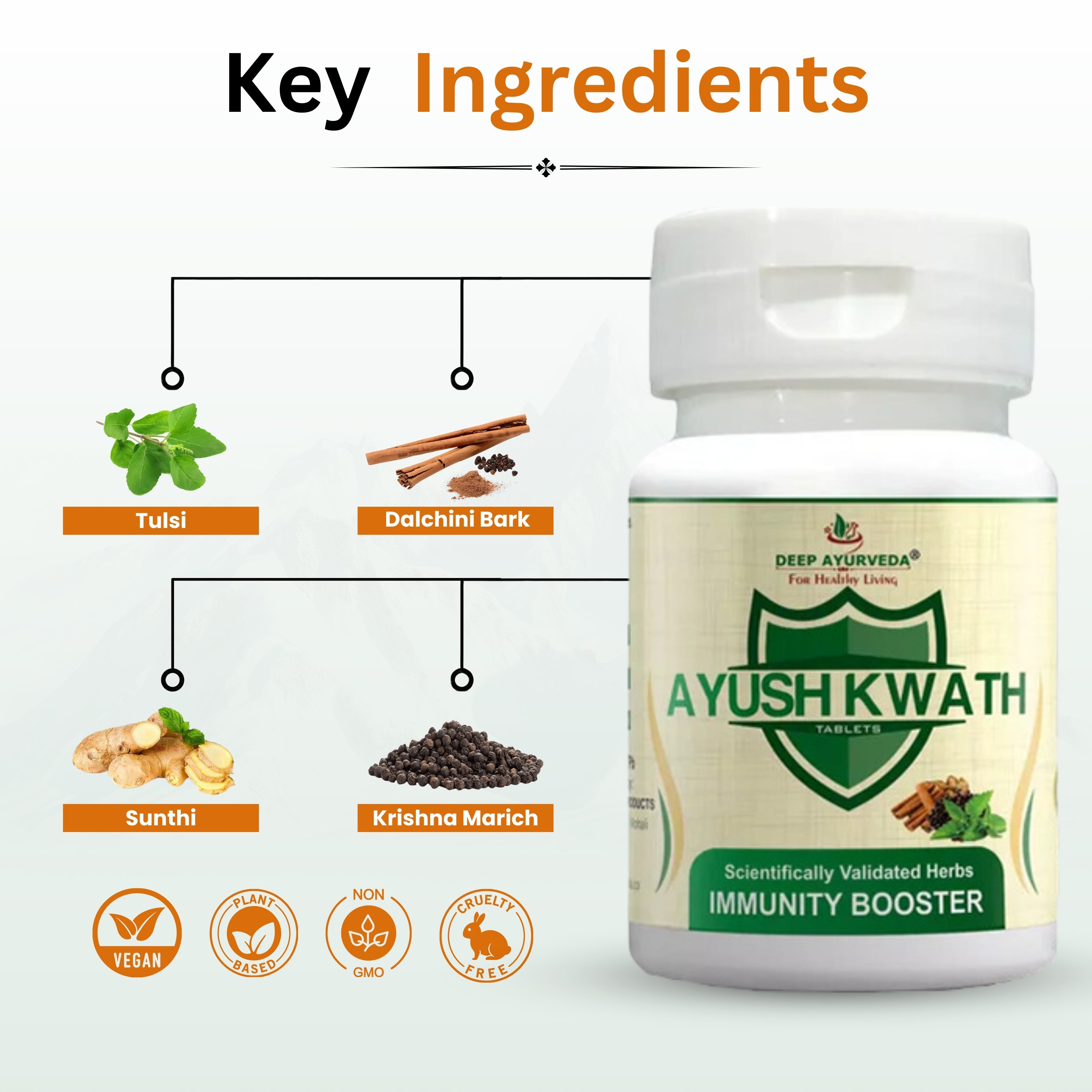 Ayush Kwath Tablets Key Ingredients