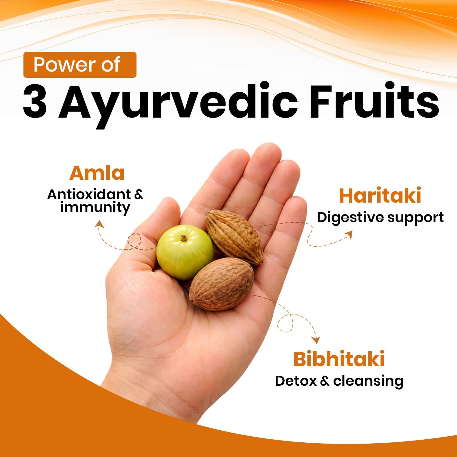 Triphala Capsules Key Ingredients