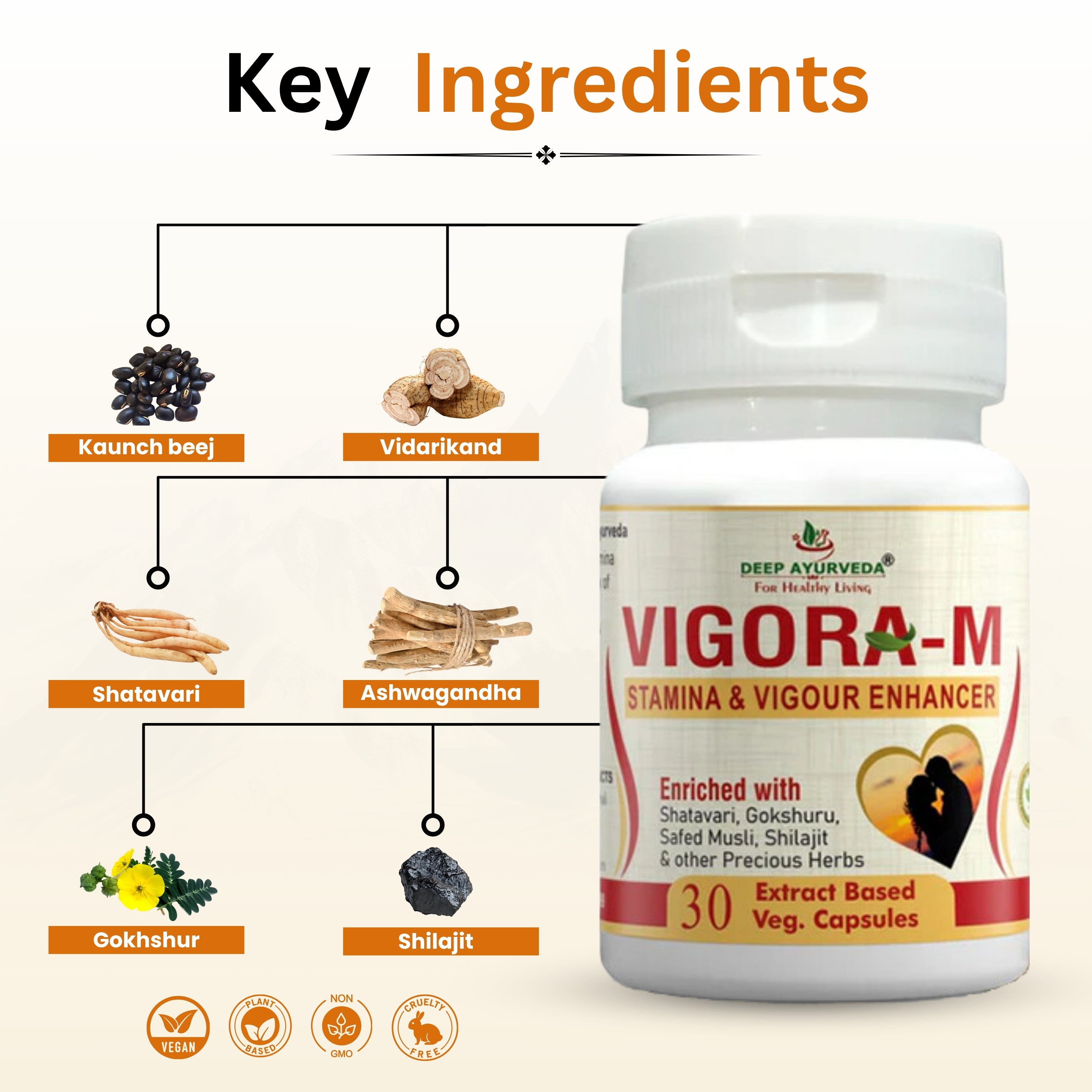 Vigo ra-M Capsule Key Ingredients