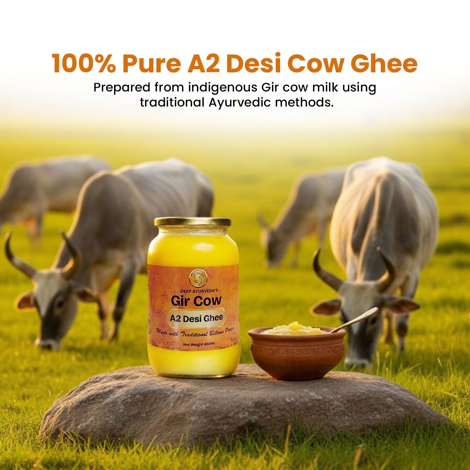 Pure A2 Desi Cow Ghee (Gir Cow) – Traditional Bilona Method