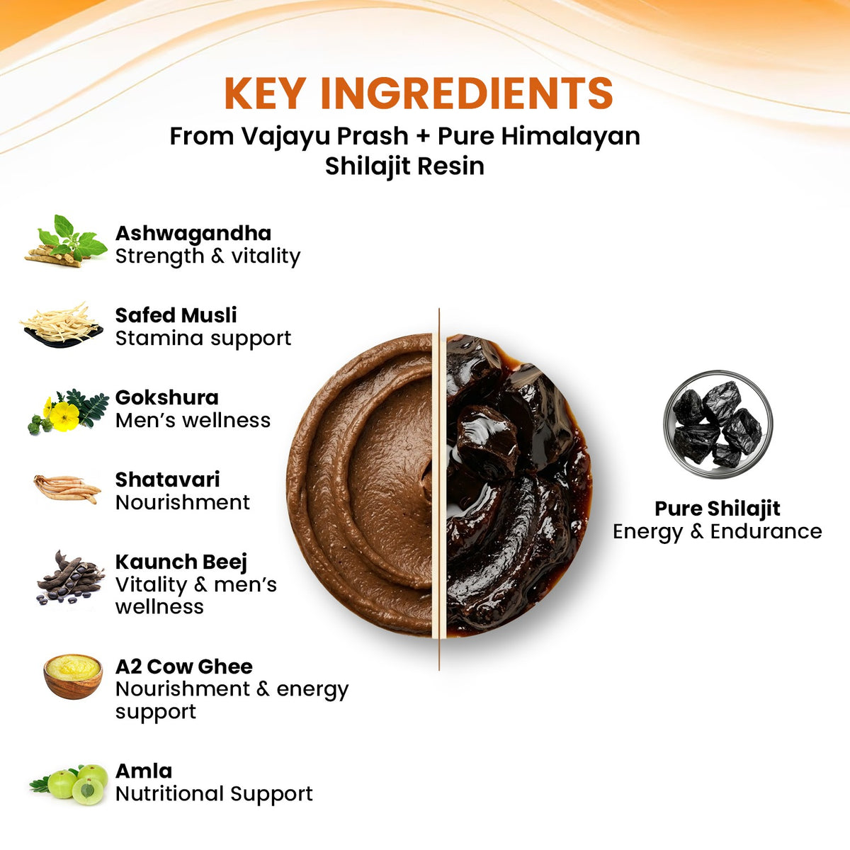 Vajayu Prash & Pure Himalayan Shilajit Resin Combo