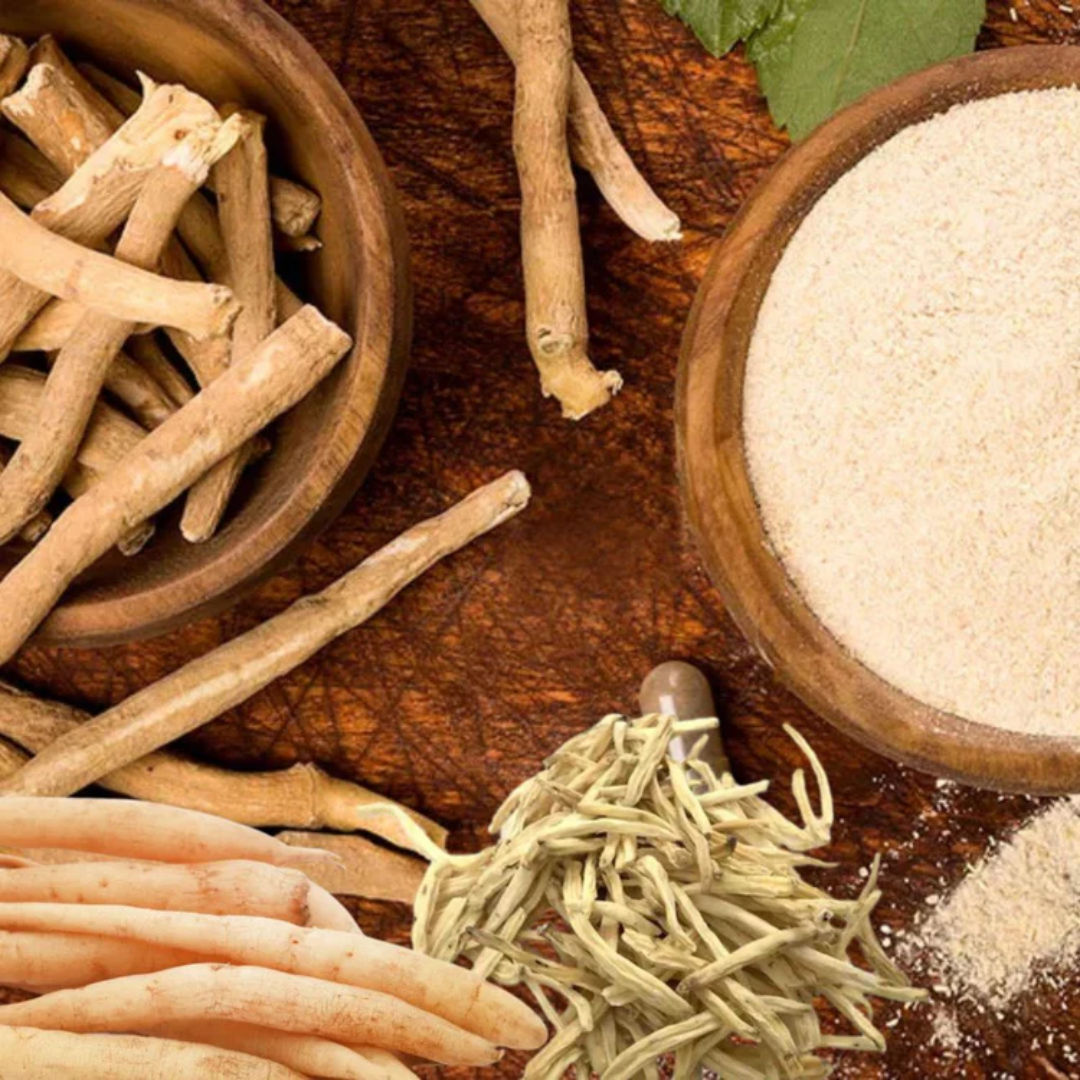 Deep Ayurveda India