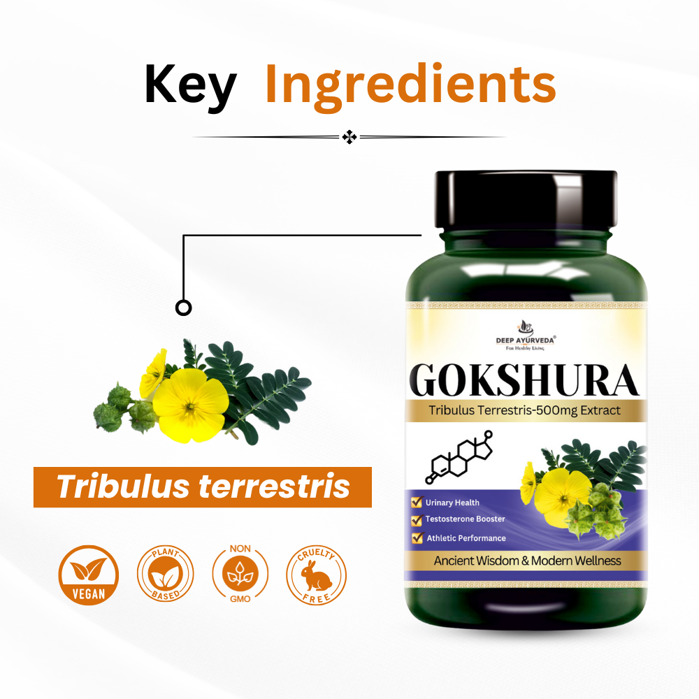 Gokshura vegan capsules by Deep Ayurveda boosts vitality, muscle strength and reproductive health key ingredients 