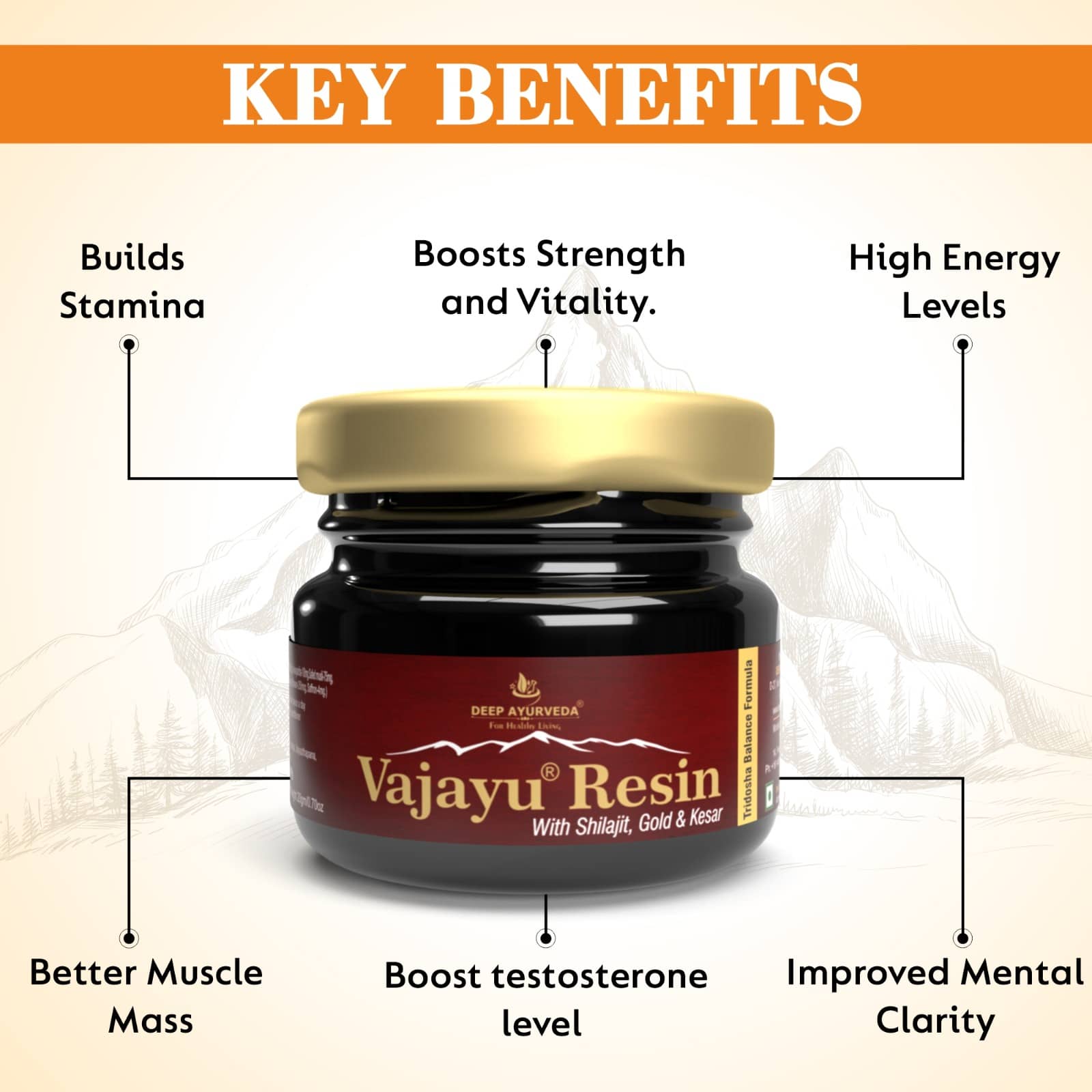 Vajayu Shilajit Gold Resin for mens health key benefits by Deep Ayurveda