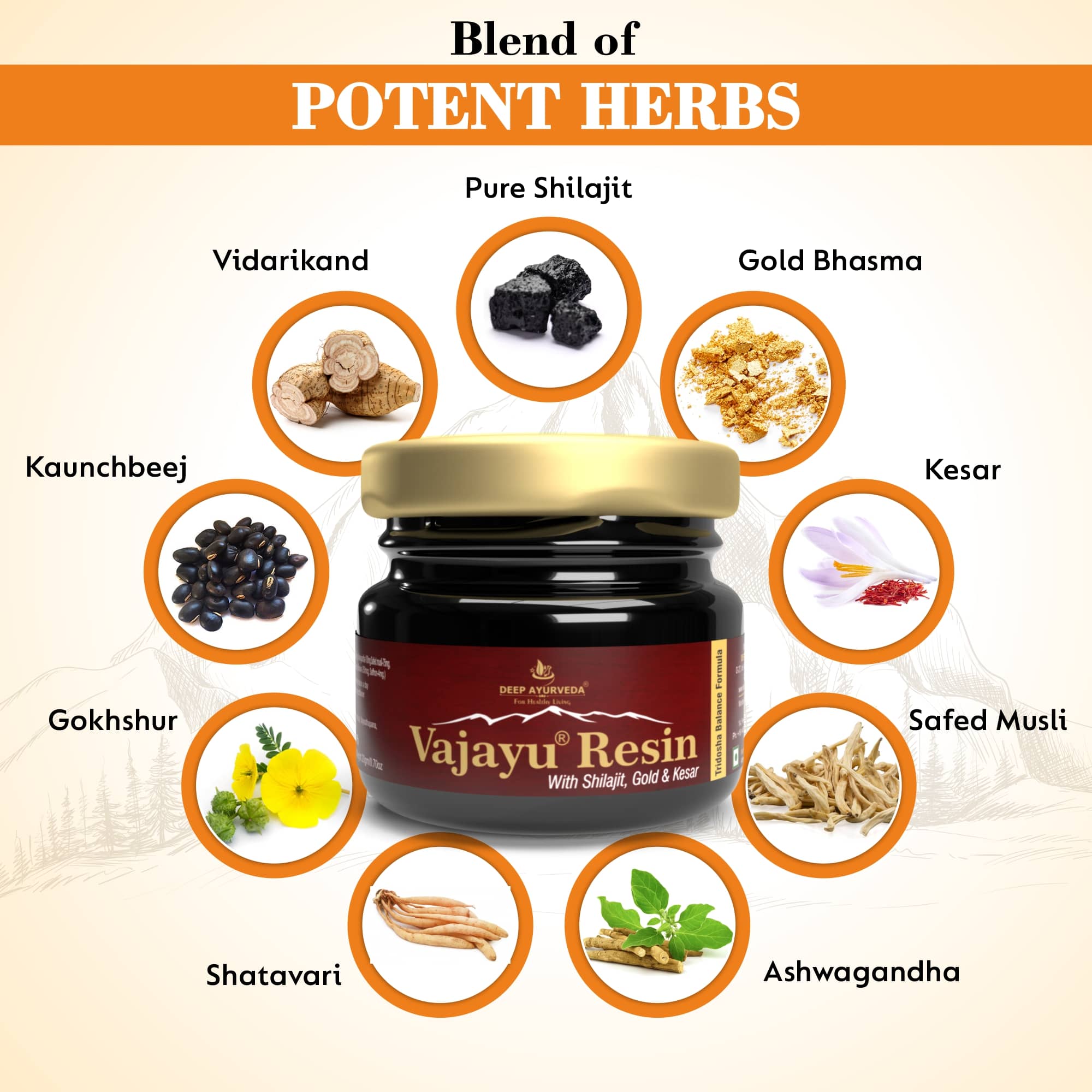 Vajayu Shilajit Gold Resin for mens health key ingredients by Deep Ayurveda