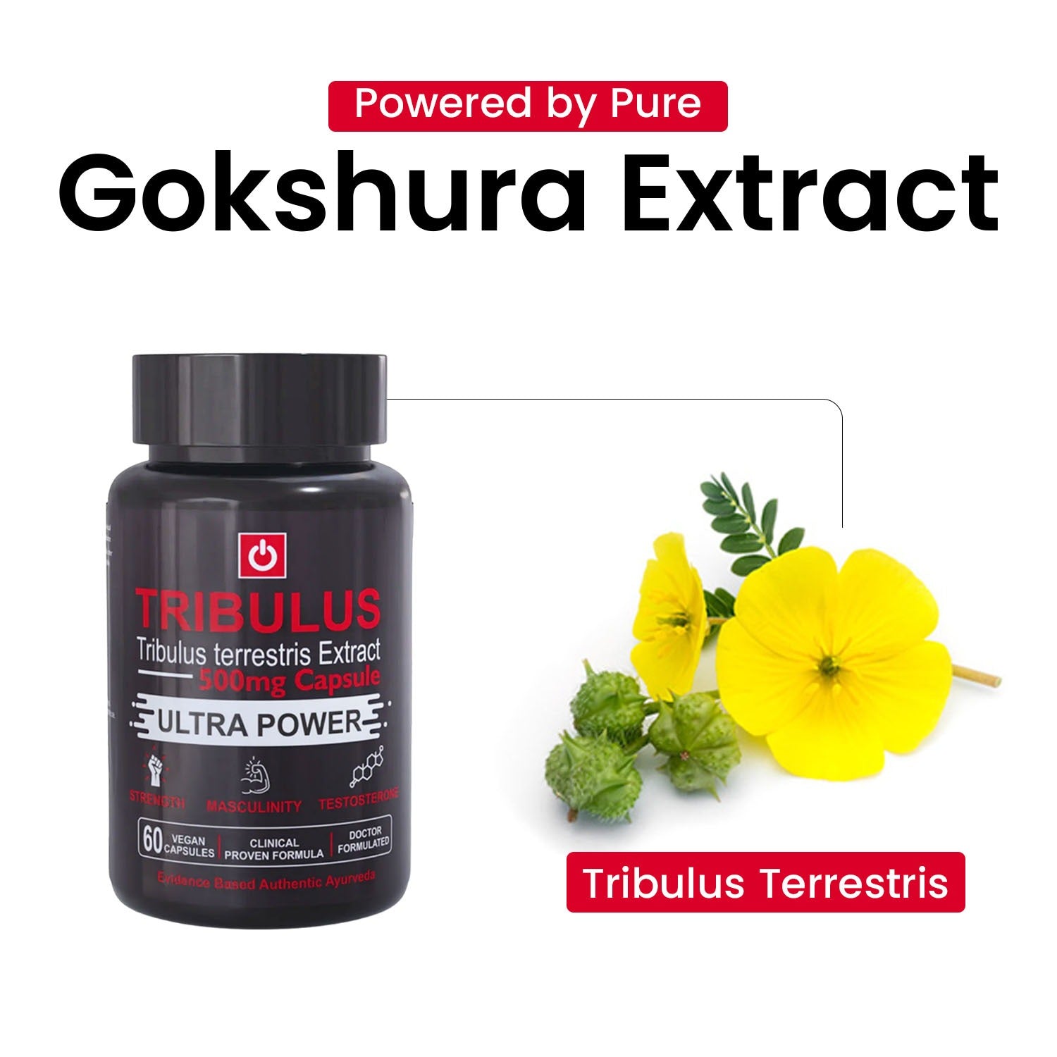 PurshVeda Tribulus Key Ingredients