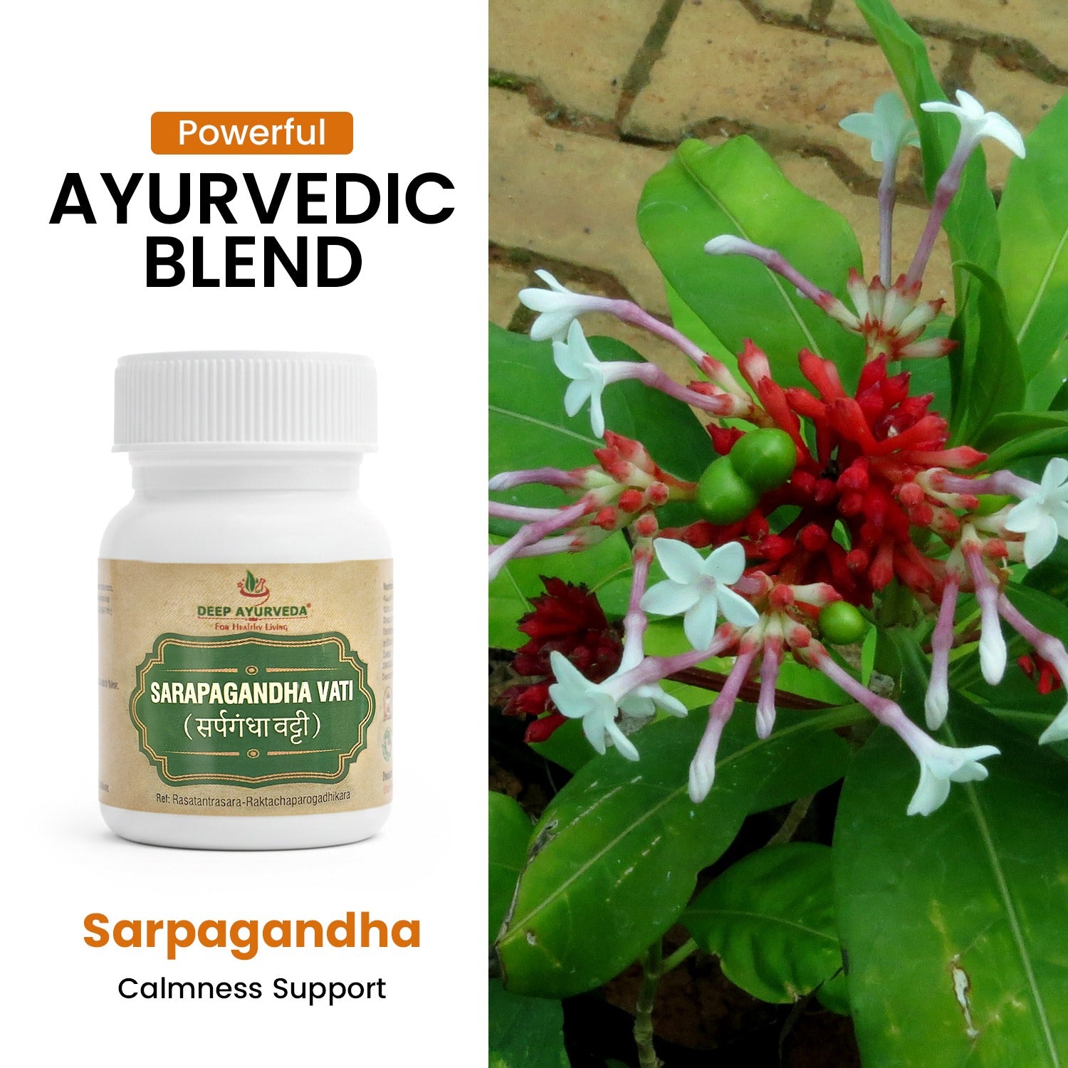 Sarpagandha Vati Classical Ayurvedic Tablet