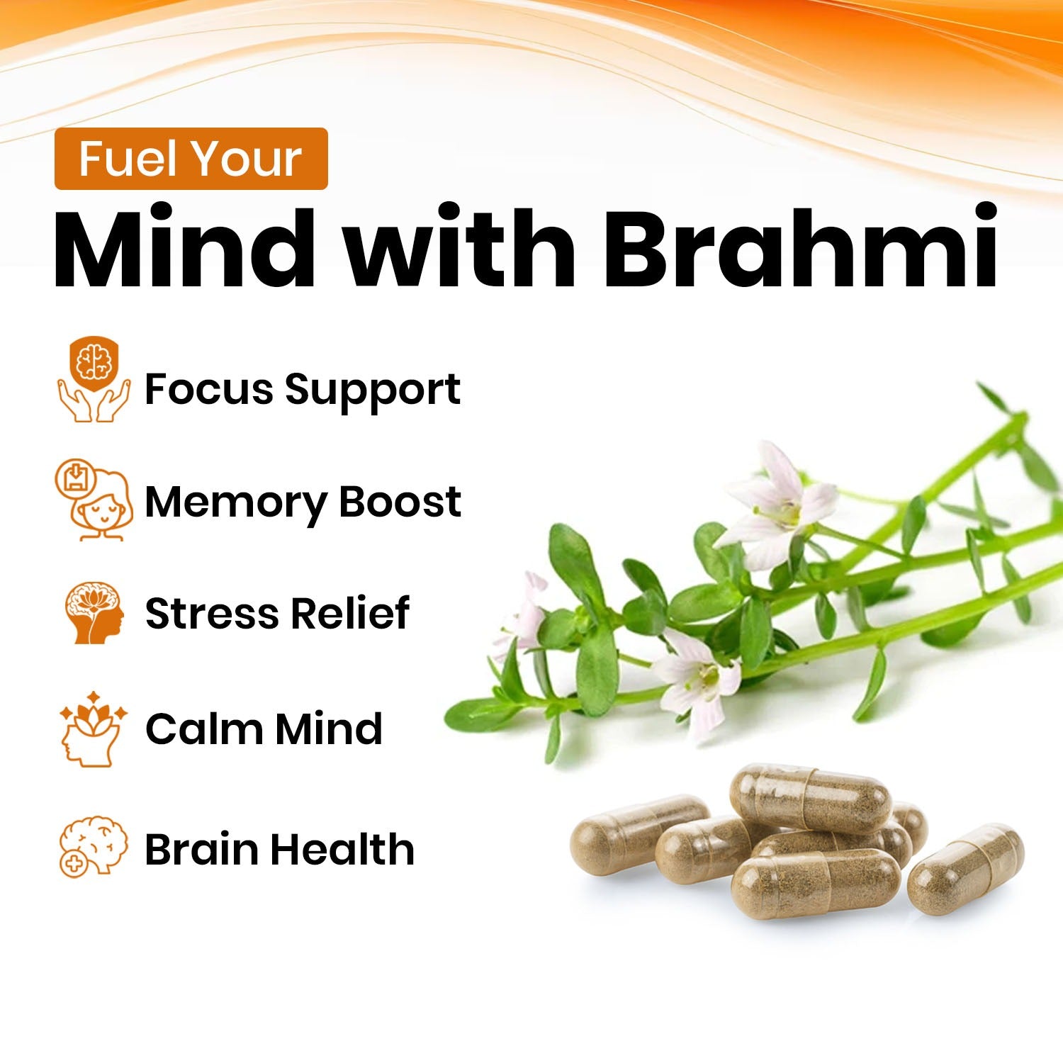 Brahmi Vegan Capsules Key Ingredients