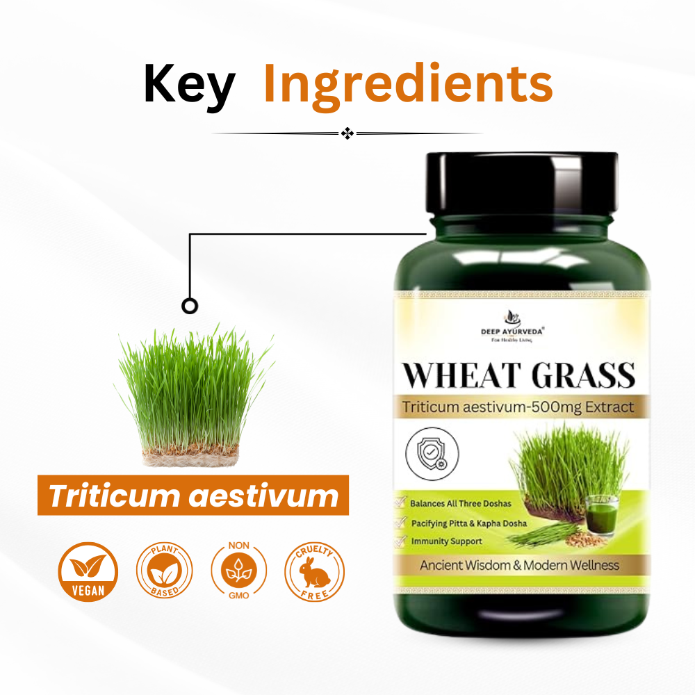Wheatgrass Vegan Capsules Detoxifies, Boosts Immunity and Promotes Wellness key ingredients by Deep Ayurveda