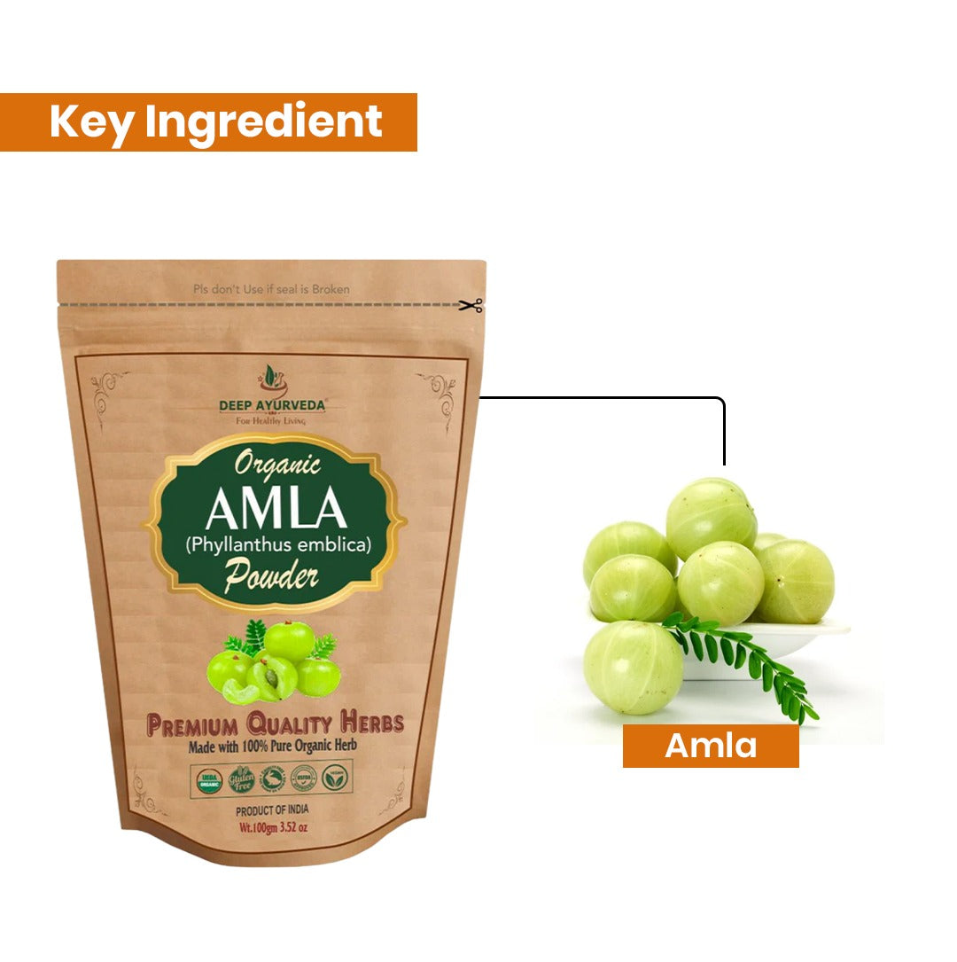 Amla Powder Key Ingredients
