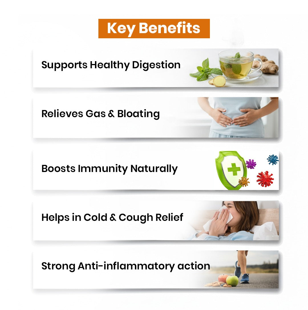 Organic Ginger Powder Key Benefits