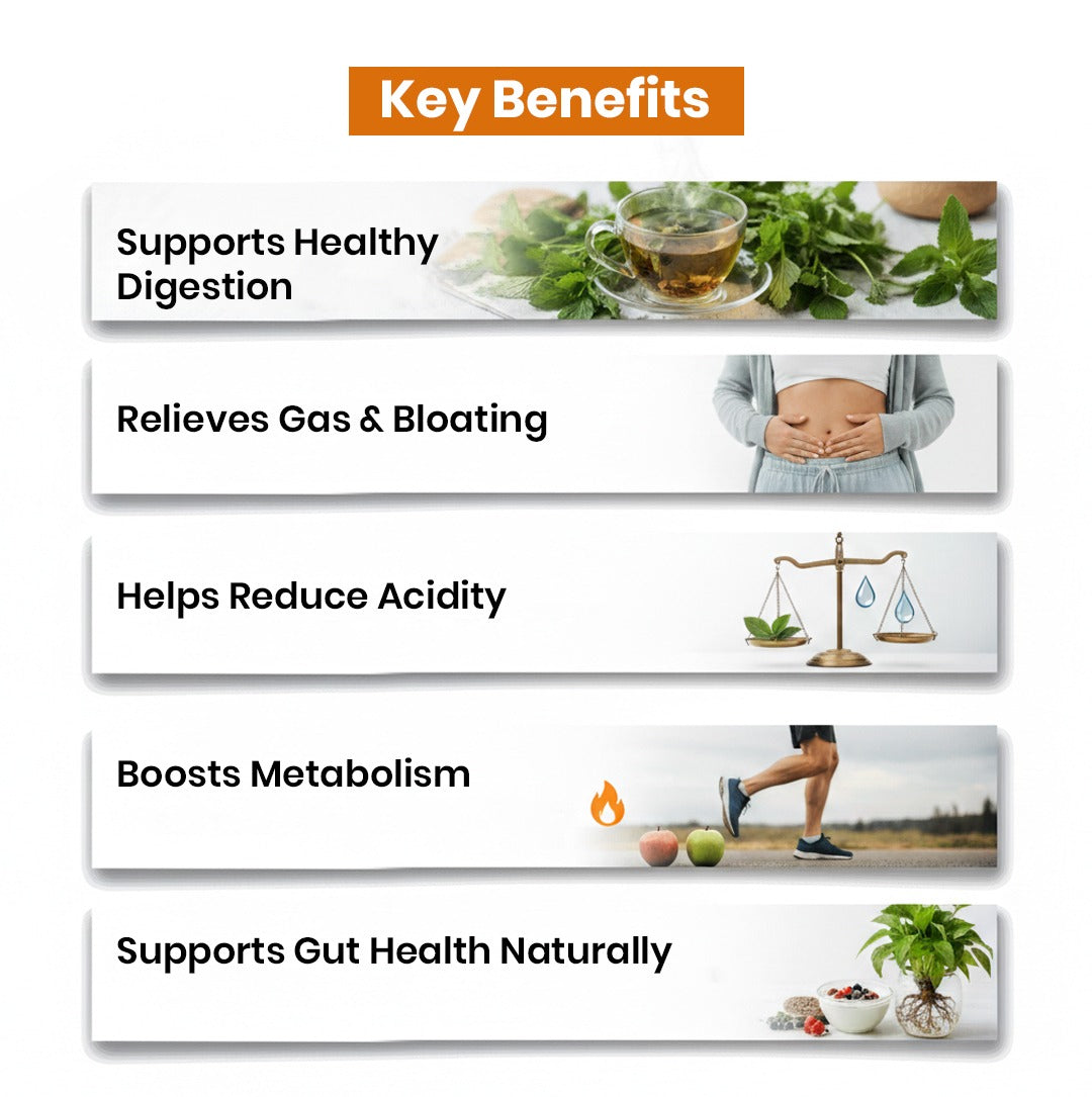 Organic Ajwain Powder Key Benefits