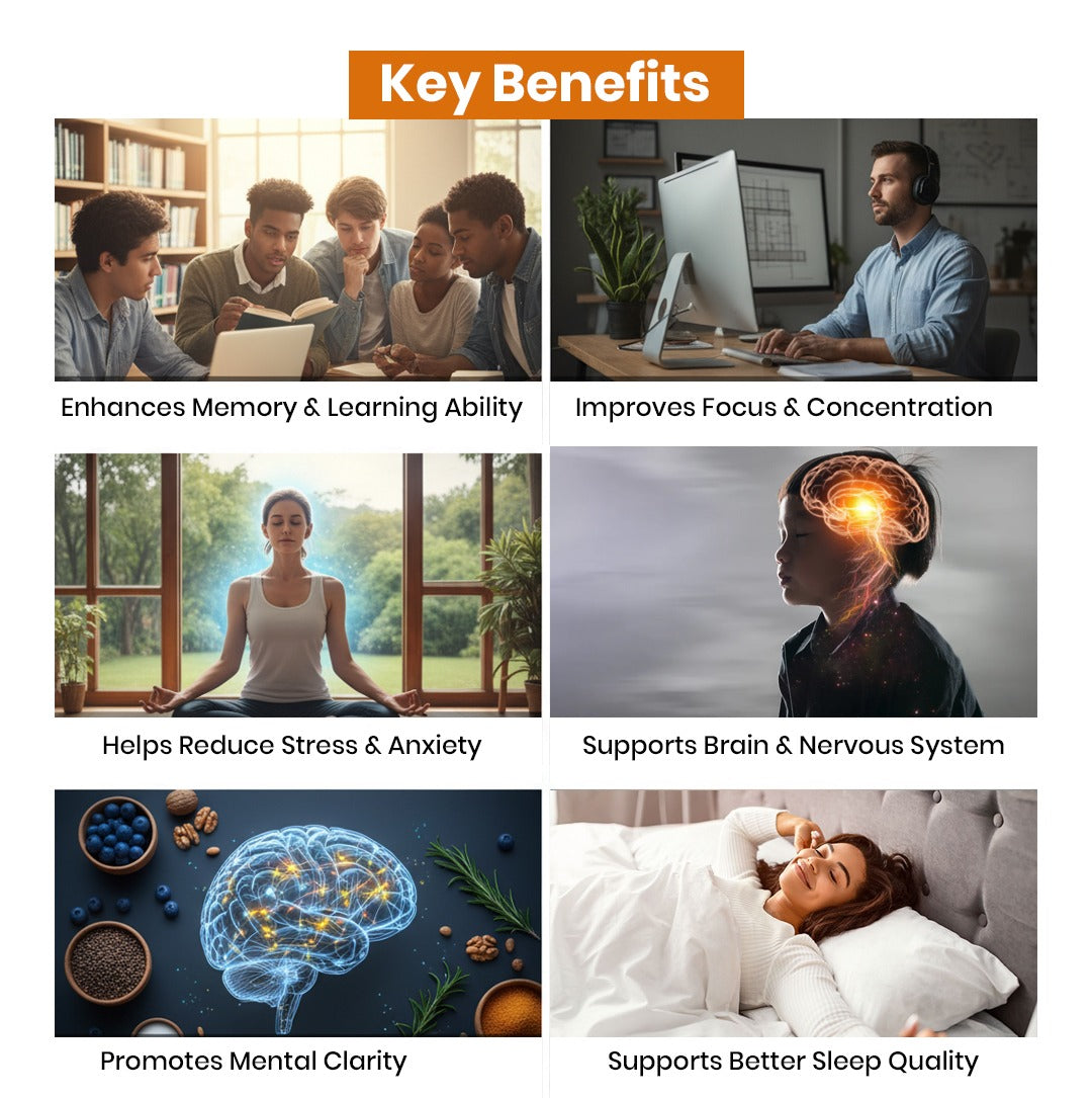 Key benefits of brain health and wellness with images and text.
