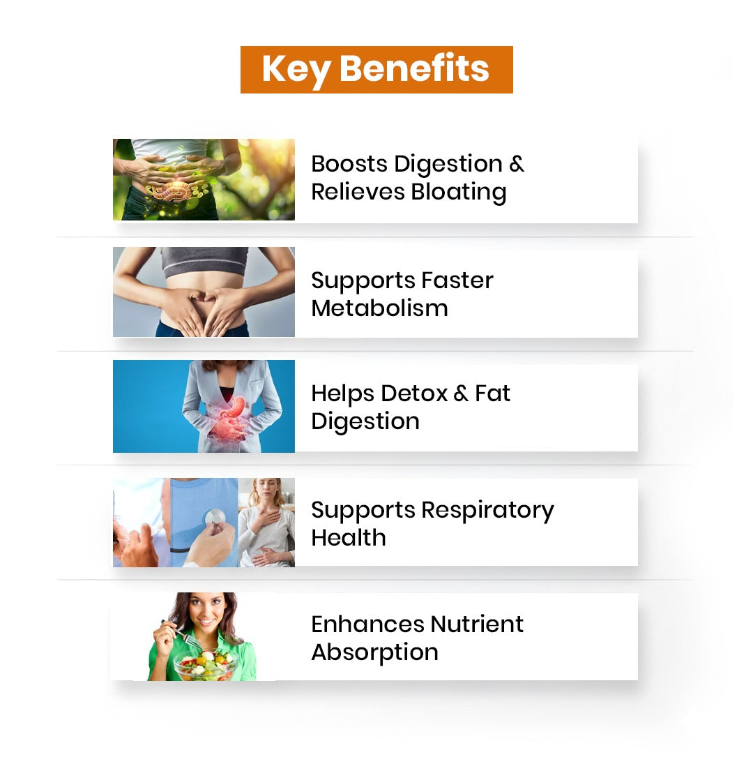 Key benefits of a product or service related to digestion and health on a white background.