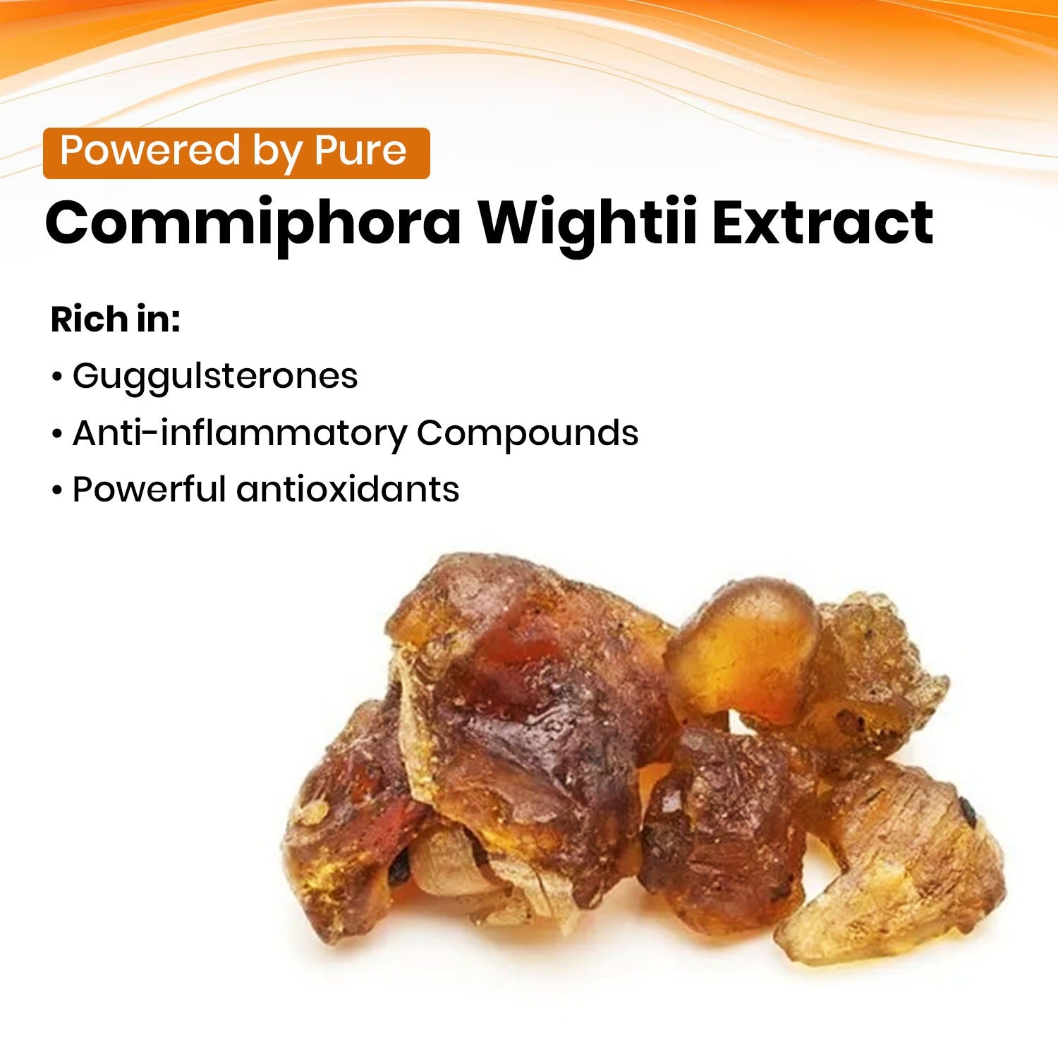 Guggul Vegan Capsules Key Ingredients