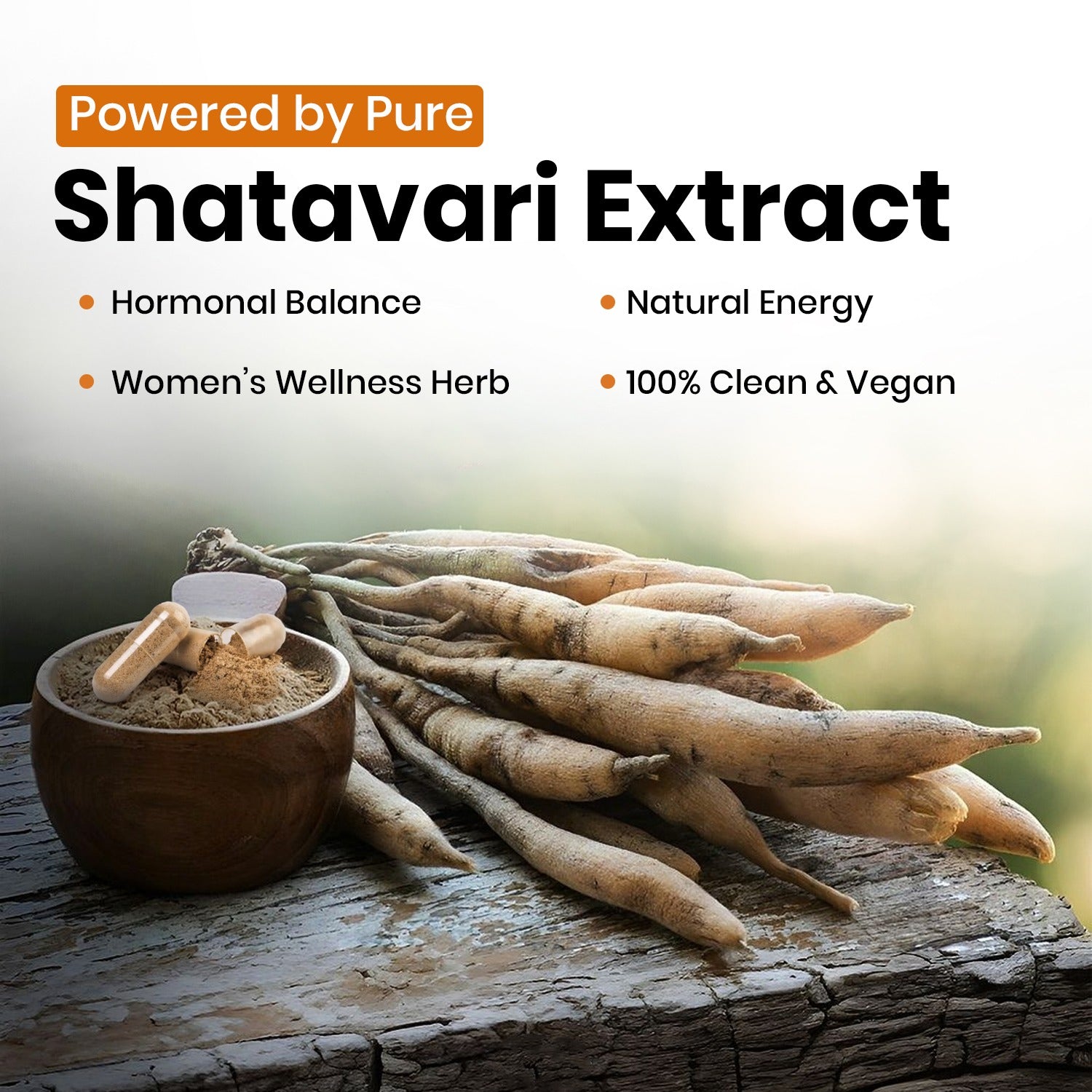 Shatavari Vegan Capsules Key Ingredients