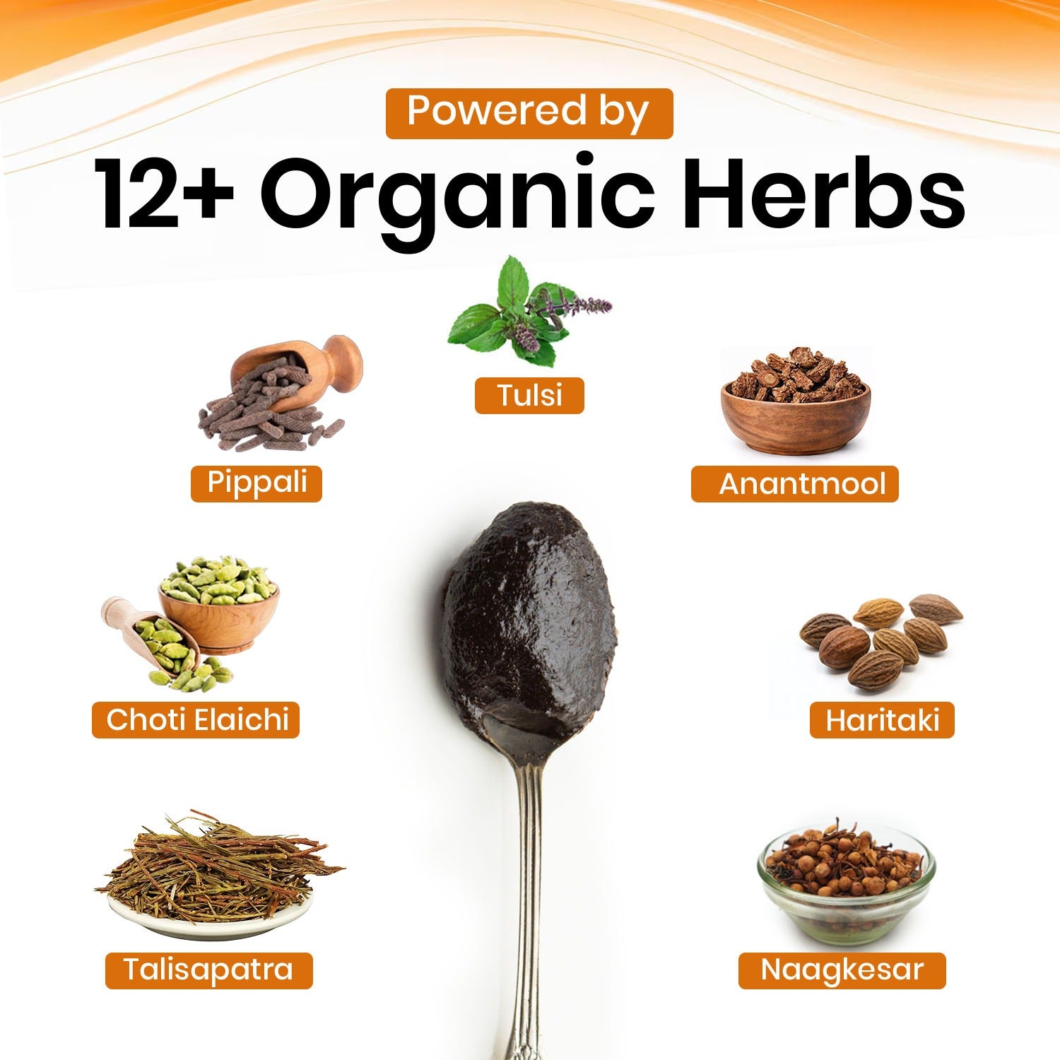 Swasani® Ayurvedic Key Ingredients