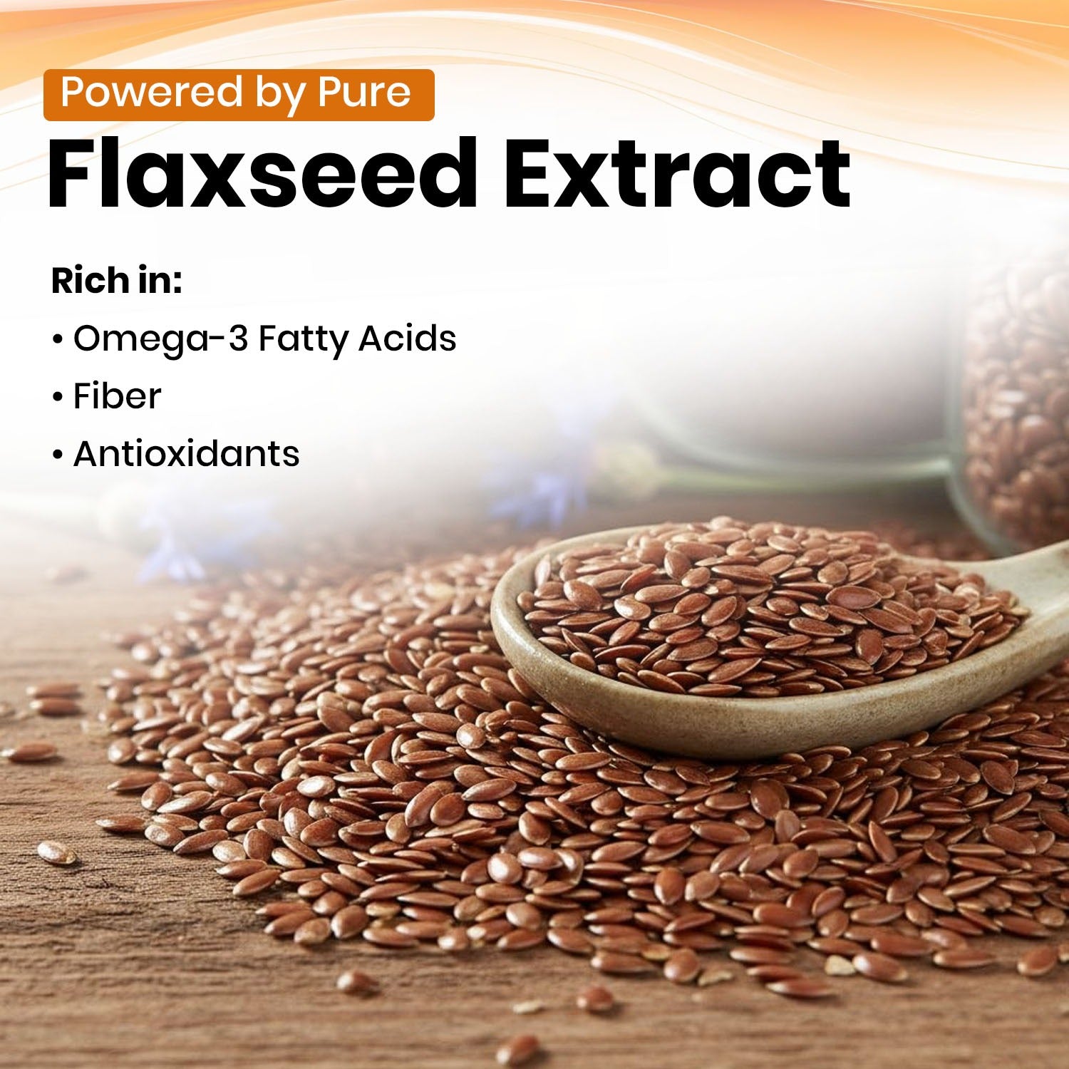 Flaxseed Vegan Capsules Key Ingredients