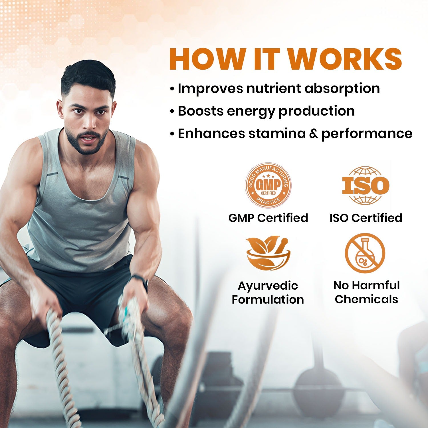 Deep Ayurveda Shilajit Capsules- 60 Caps