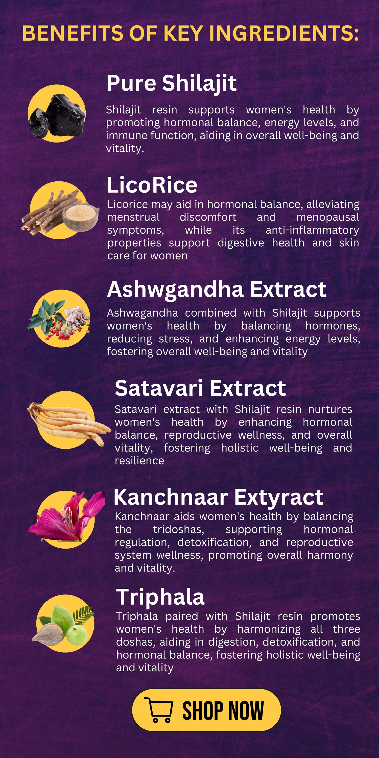 shilajit for women ingredients