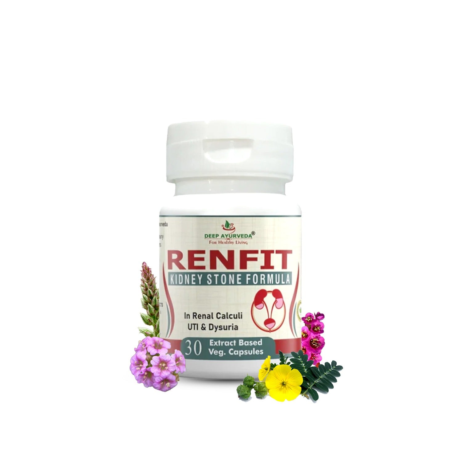 Renfit Gives Relief from Kidney Stones and Helps in Kidney Detox