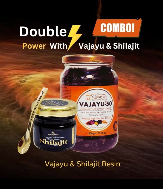 vajayu and shilajit combo pack