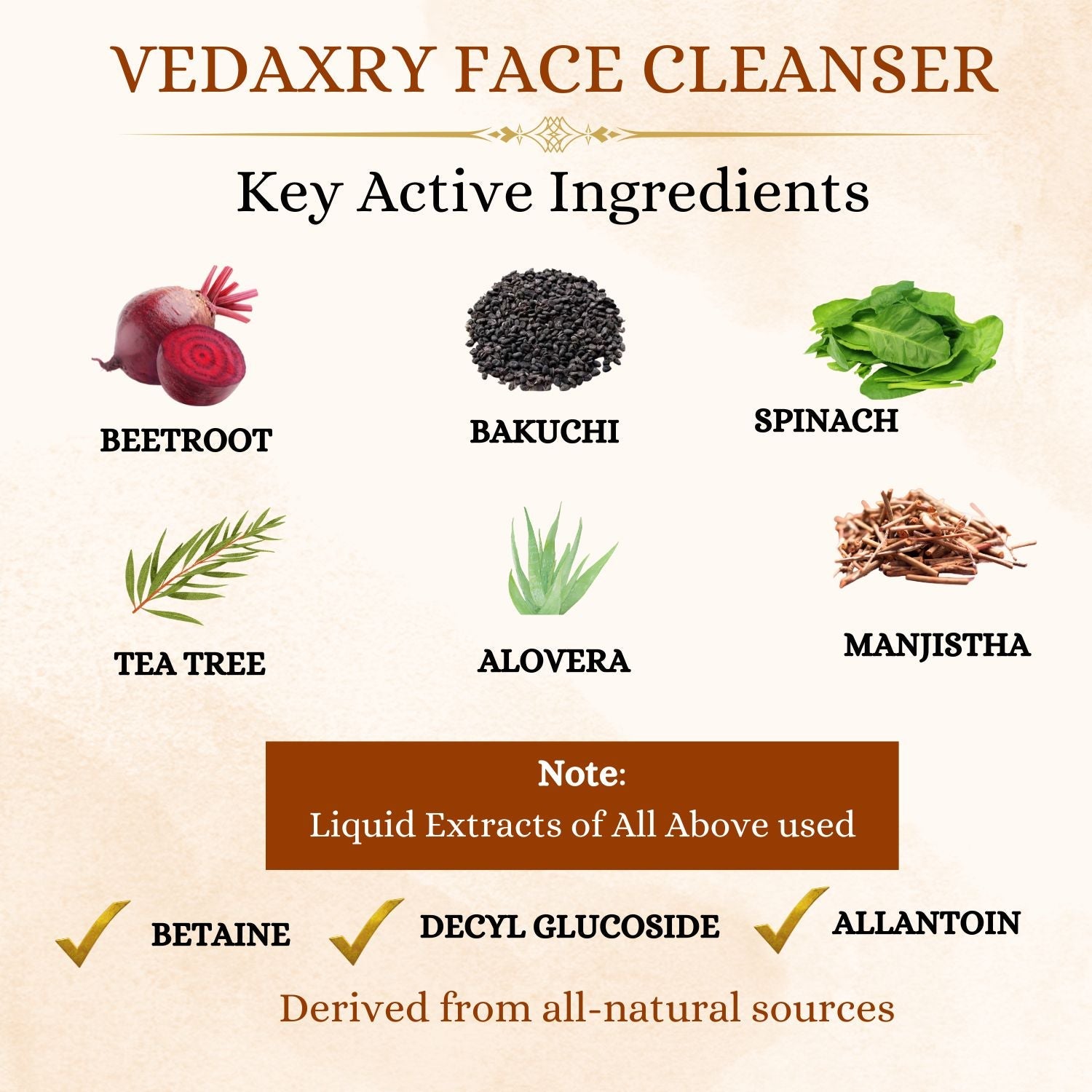 Vedaxry Deep Cleanse Face Cleanser with Beetroot & Bakuchi Extract, 100ml Pack, Spl Launch Offer Up 50% Off Till 31st Oct 2023 - Deep Ayurveda India