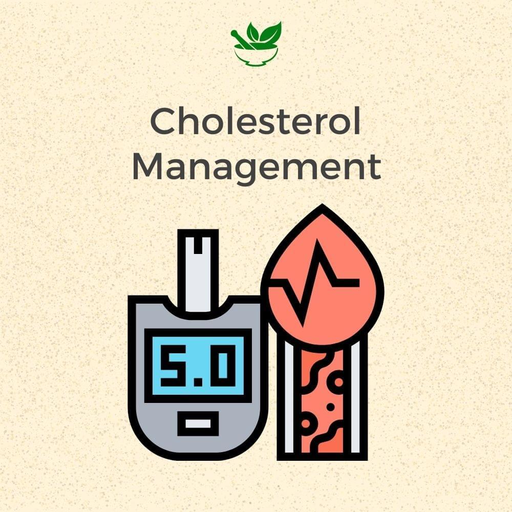 Anti Cholesterol Ayurvedic Management 30 Days Pack - Deep Ayurveda India