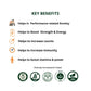 Vajayu® For Men's Health | Boost Strength, Energy, & Stamina | Remove Performance Anxiety - Deep Ayurveda